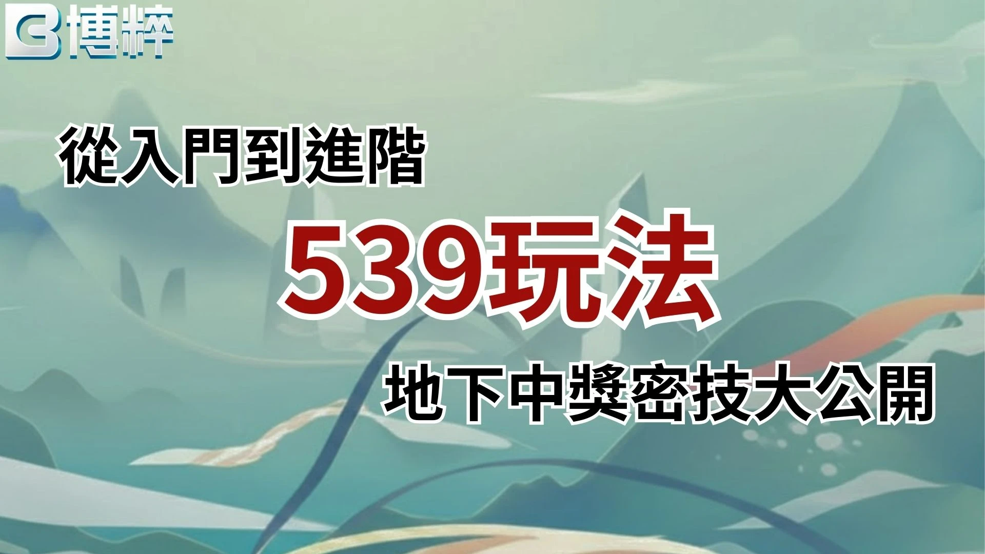 539玩法