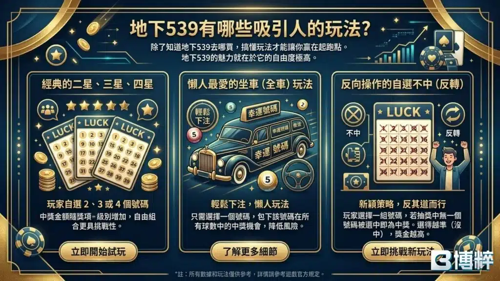 地下539玩法